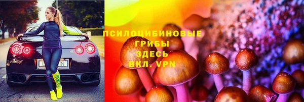 винт Корсаков