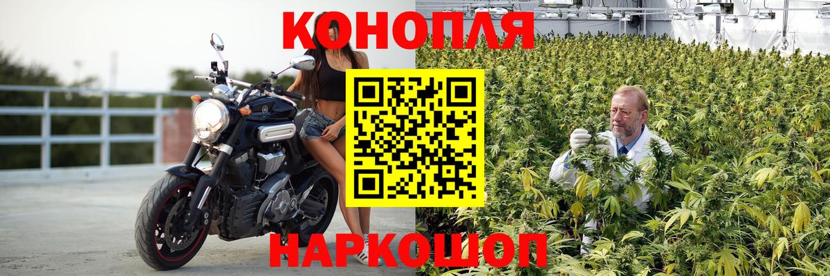 МАРИХУАНА конопля  Конопля тримм  Канабис гибрид  Вход с VPN  Каннабис ГИДРОПОН  Междуреченск 